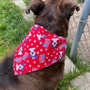 Handmade Reversible Dog Bandanna